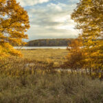 Sand Dunes State Forest