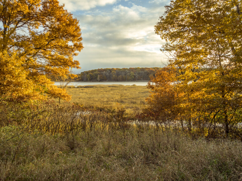 Sand Dunes State Forest