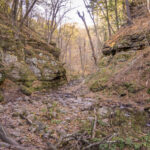 Water flowing through Parfrey's Glen