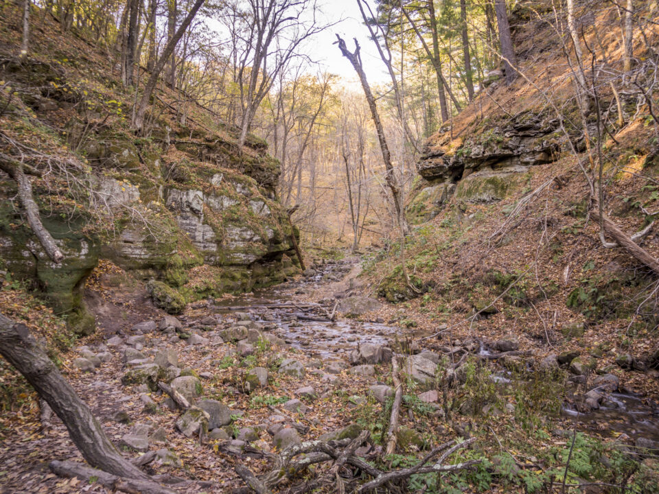 Water flowing through Parfrey's Glen