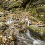 Parfrey's Glen