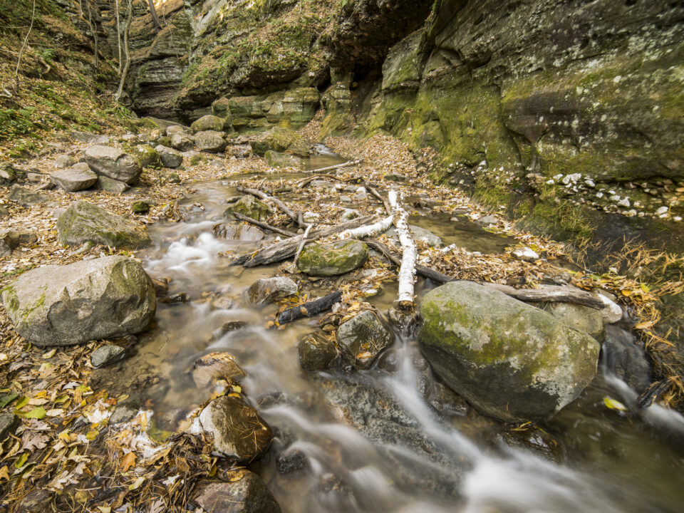 Parfrey's Glen