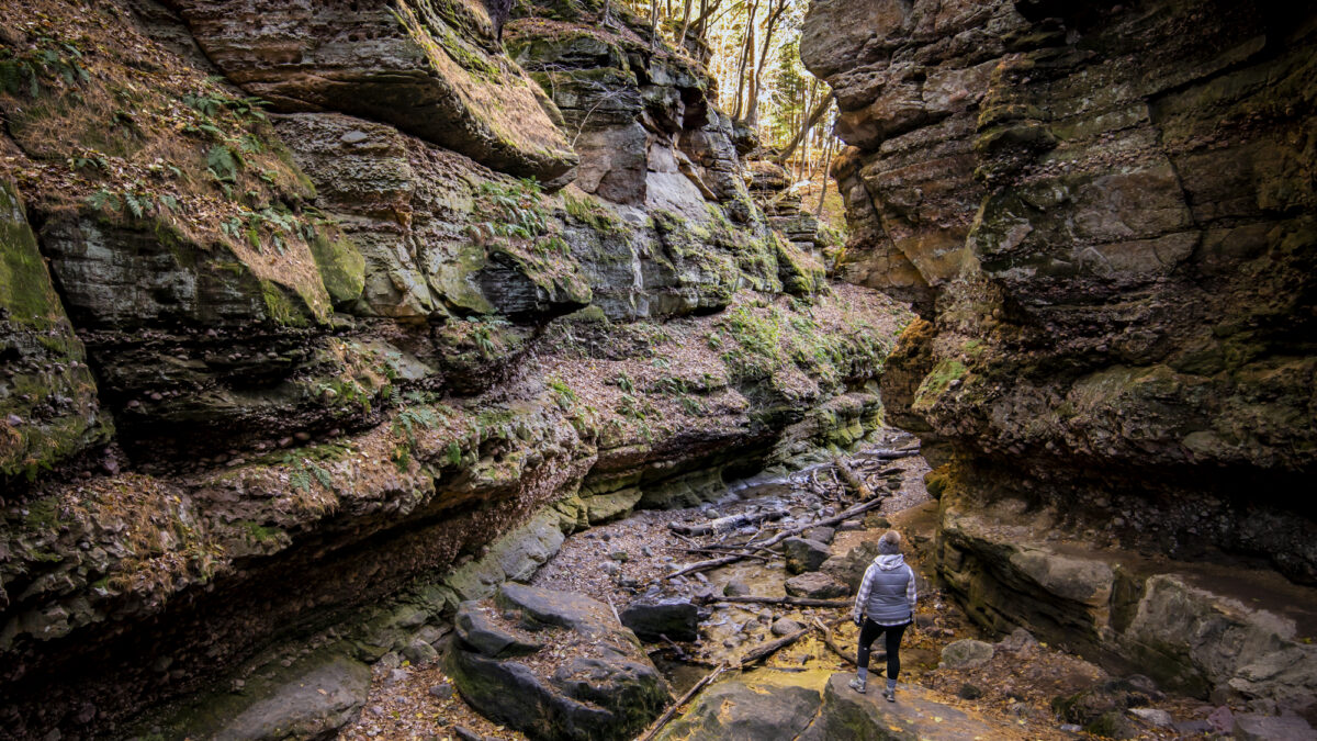 Autumn in Parfrey's Glen