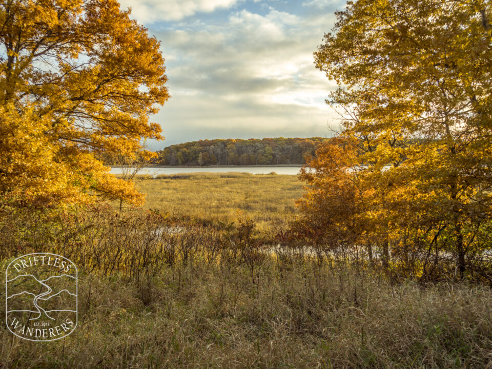 Watermark - Sand Dunes State Forest