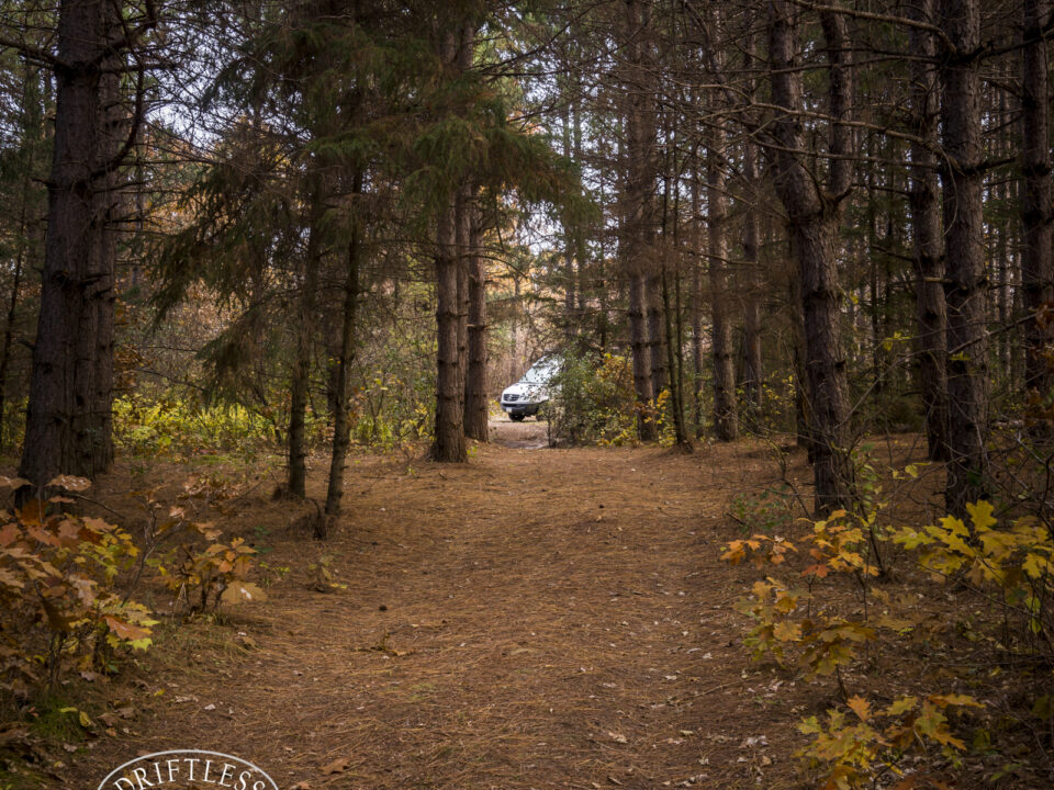 Sand Dunes State Forest